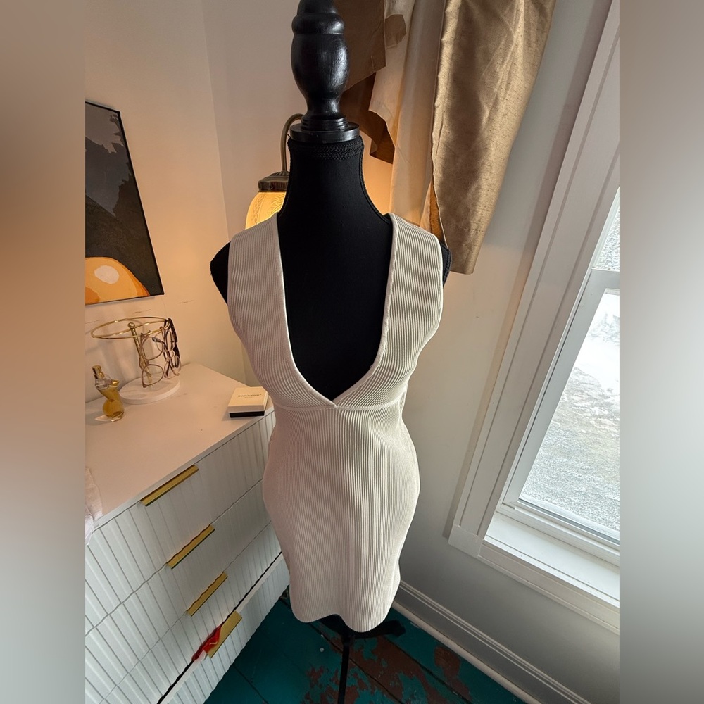 Aritzia Babaton Dress